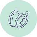 Cardamom